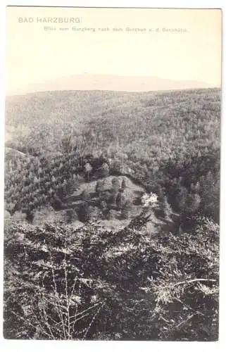AK, Bad Harzburg, Blick vom Burgberg nach dem Brocken und der Sennhütte, 1906