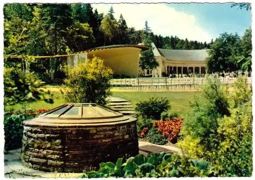 Ansichtskarte, Bad Wildungen, Quellfassung mit Konzertpavillion und Wandelhalle, 1964
