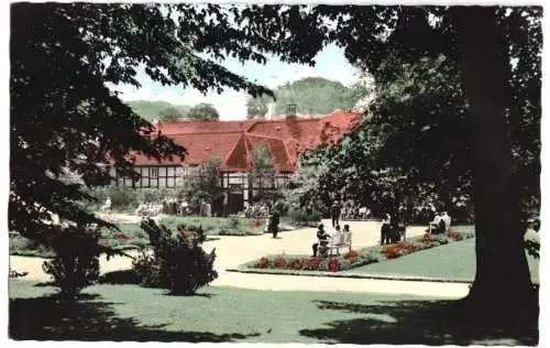 Ansichtskarte, Bad Driburg, Gräfliche Kurhäuser und Kurpark, um 1960
