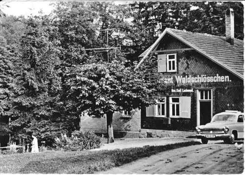 Ansichtskarte, Gehege bei Brotterode, Rest. Waldschlößchen, 1964