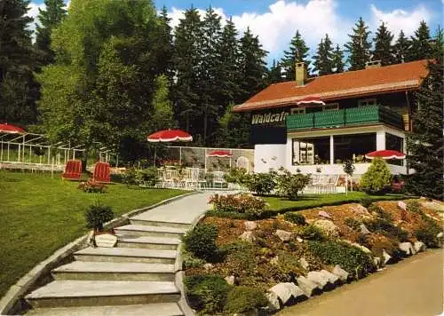 AK, Braunlage Harz, Waldcafé "Unter den Buchen", um 1975