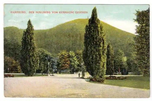 AK, Harzburg, Der Burgberg vom Kurhause gesehen, um 1908