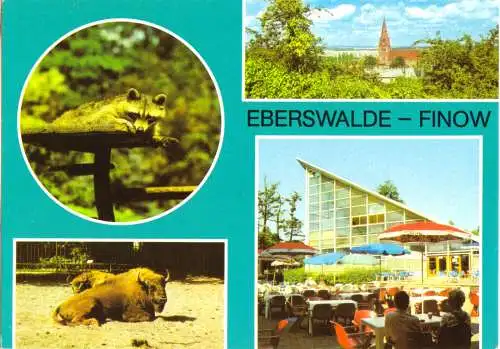 Ansichtskarte, Eberswalde - Finow, vier Abb.- Im Tierpark, 1983