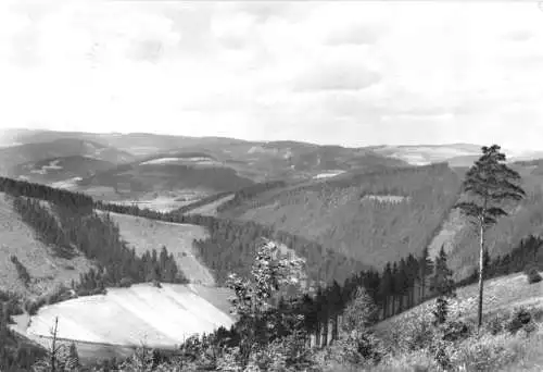 AK, Löhma Kr. Saalfeld, Thüringerwaldblick, 1983