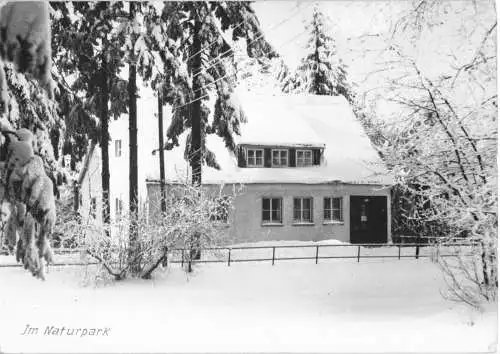 AK, Schmiedefeld am Rennsteig, Im Naturpark, Winteransicht, 1982