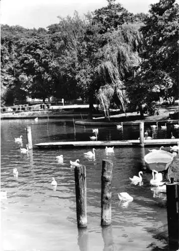 Ansichtskarte, Woltersdorf bei Erkner, Partie am Kalksee, 1978