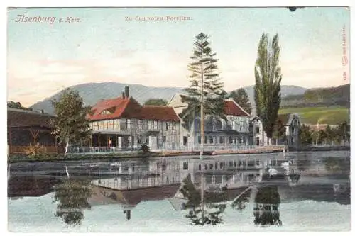 Ansichtskarte, Ilsenburg am Harz, Blick auf "Zu den roten Forellen", um 1908