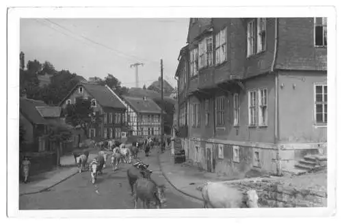 Ansichtskarte, Schmiedefeld Thür., Straßenpartie, belebt, 1955
