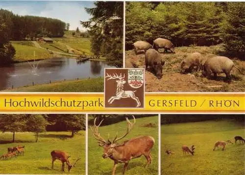 Ansichtskarte, Gersfeld Rhön, Hochwildschutzpark, fünf Abb., um 1999