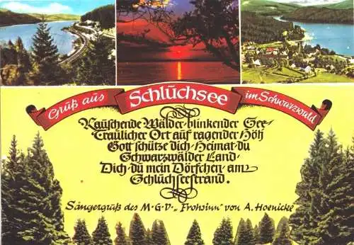 Ansichtskarte, Schluchsee im Schwarzw., drei Abb., gestaltet, Sängergruß, um 1979
