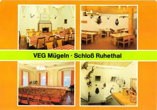 AK, Mügeln Kr. Oschatz, VEG Mügeln, Schloß Ruhethal, vier Abb., 1984