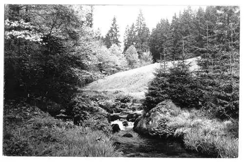 AK, Schmiedefeld am Rennsteig, Partie im unteren Vessertal, 1966