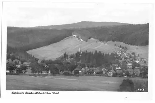Ansichtskarte, Scheibe-Alsbach Thür. Wald, Teilansicht, 1960