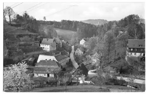 AK, Schöna Sächs. Schweiz, Hirschgrund, 1956