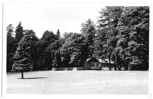 AK, Scherershütte bei Ohrdruf, Echtfoto, ca. 1965