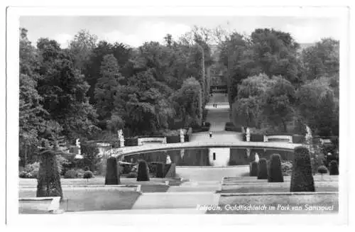 Ansichtskarte, Potsdam, Goldfischteich! im Park von Sanssouci, 1951