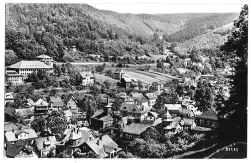 Ansichtskarte, Schwarzburg Thür. Wald, Teilansicht, 1958