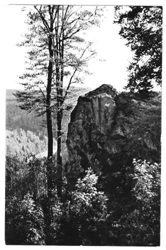Ansichtskarte, Frauenwald Rennstg., Tillyfelsen, 1961