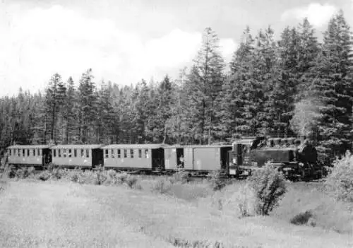 AK, Neudorf Erzgeb., Schmalspurbahn, 1979