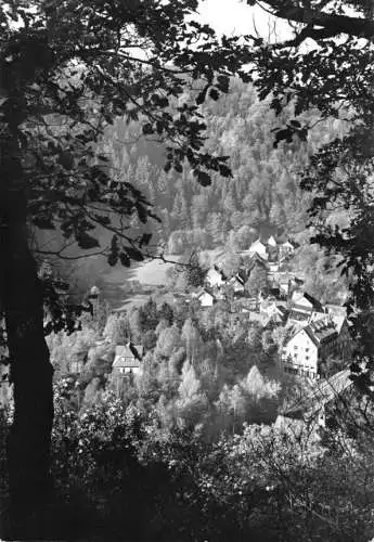 Ansichtskarte, Treseburg Harz, Teilansicht, 1965