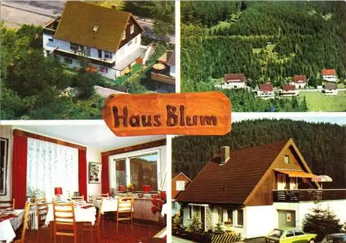 Ansichtskarte, Wildemann Oberharz, Haus Blum, Am Sanickel 16, um 1988