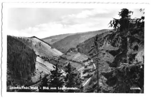 AK, Lauscha Thür. Wald, Blick vom Lauschenstein, 1958