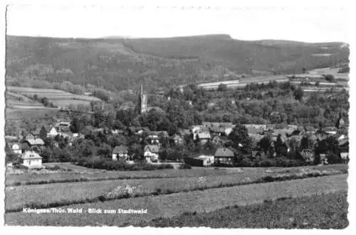 AK, Königsee Thür. Wald, Teilansicht, 1960