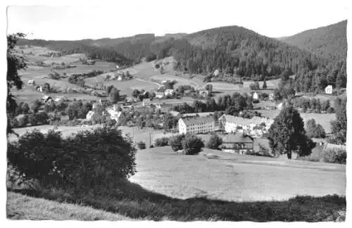 AK, Warmensteinach, Teilansicht, 1958