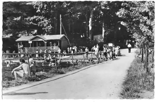 AK, Rechenberg-Bienenmühle, Freibad belebt, 1960