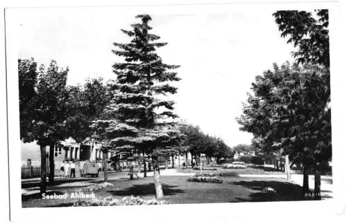 AK, Seebad Ahlbeck Usedom, Straßenpartie, 1956