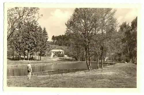 AK, Geschwenda Thür. Wald, Partie im Waldbad, 1958