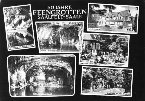 AK, Saalfeld Saale, sechs Abb., 50 Jahre Feengrotten, 1964