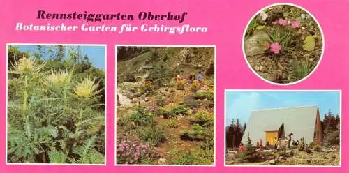 AK lang, Oberhof Thür. Wald, Rennsteiggarten, vier Abb., 1981