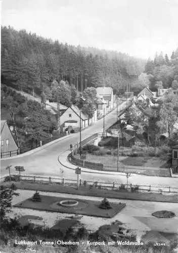 Ansichtskarte, Tanne Oberharz, Kurpark mit Waldstr., 1961