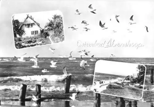 AK, Ostseebad Ahrenshoop, drei Abb., gestaltet, 1969