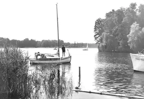 AK, Wendisch Rietz Kr. Beeskow, Am Scharmützelsee bei der HOG "Scharmützeleck"