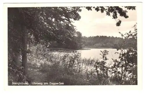 AK, Neuglobsow Kr. Gransee, Uferweg am Dagowsee, um 1954
