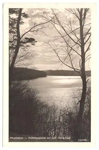 AK, Neuglobsow Kr. Gransee, Frühlingssonne auf dem Peetschsee, 1955