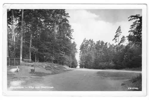 AK, Neuglobsow Kr. Gransee, Weg zum Stechlinsee, 1955