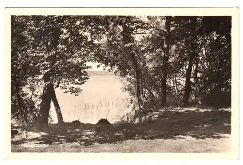 Ansichtskarte, Neuglobsow Kr. Gransee, Seepartie, um 1956