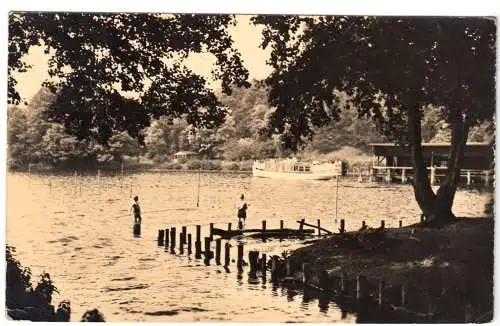 AK, Werbelinseegebiet, Partie am Nordufer, 1964