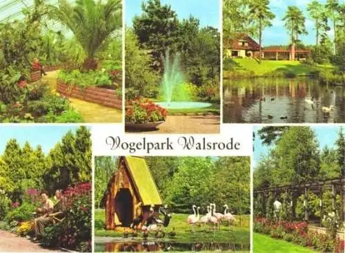Ansichtskarte, Walsrode, Vogelpark, 6 Abb., um 1970