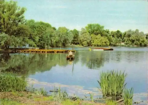 AK, Berlin Weißensee, Weißer See, 1965