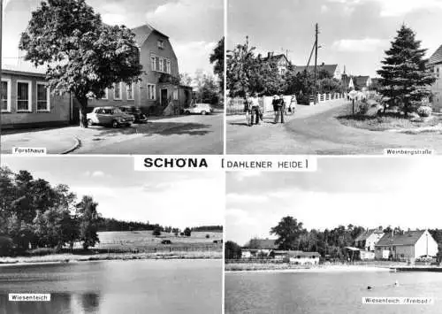 Ansichtskarte, Schöna Dahlener Heide, vier Abb., 1981