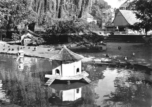 AK, Bischofswerda, Partie im Tierpark, 1973