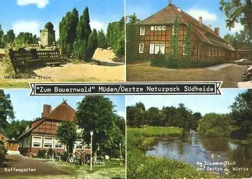 Ansichtskarte, Müden Örtze, Naturpark Südheide, "Zum Bauernwald"