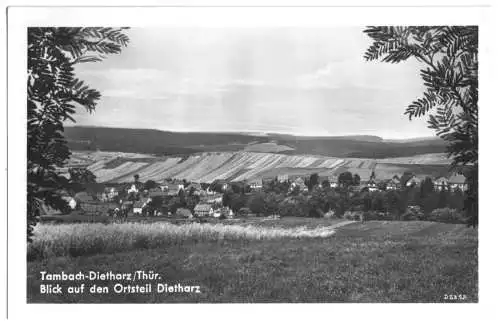 Ansichtskarte, Tambach-Dietharz Thür., OT Dietharz, Totale, 1951