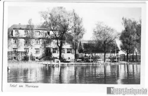 Ansichtskarte, Röbel Müritz, Gebäude am Müritzsee, 1954
