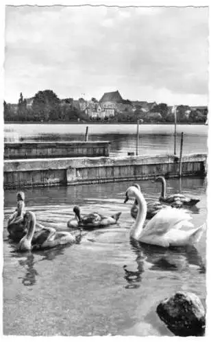 Ansichtskarte, Prenzlau, Partie am unteren Ueckersee, 1961
