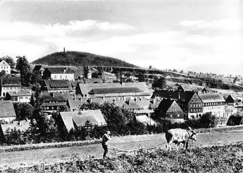 AK, Altenberg Erzgeb., Teilansicht mit Geising, pflügender Bauer mit Ochsen 1963